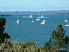 10 Tina Street, Redland Bay, Qld 4165-Image