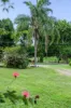 10 Topaz Street, Cooroy, Qld 4563-Image