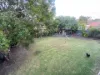 10 Traben St, Tingalpa, Qld 4173-Image