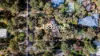10 Urch Road, Roleystone, WA 6111-Image