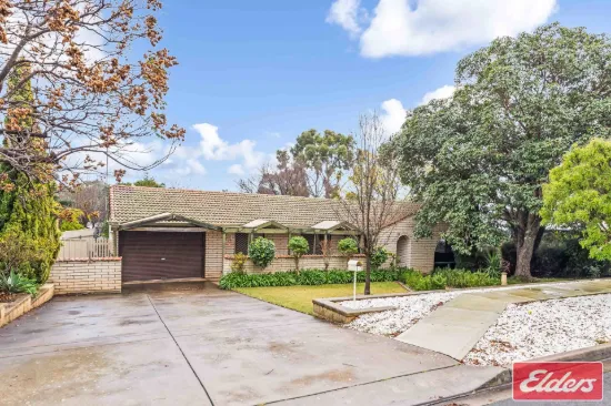 10 View Crescent, Evanston Park, SA 5116