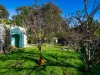 10 View Street, St Helens, Tas 7216-Image