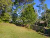 10 Village Road, South Durras, NSW 2536-Image