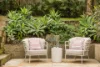 10 Violet Street, Bronte NSW 2024-Image