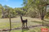 10 Walter Randall Glen, Pewsey Vale, SA 5351-Image