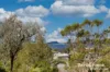 10 Waratah Avenue, Salamander Bay, NSW 2317-Image