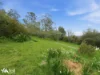 10 Wilga Road, Risdon Vale, Tas 7016-Image