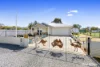 10 William Street, Old Junee, NSW 2652-Image