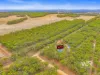 10 Worth Court, Mount Barker, WA 6324-Image