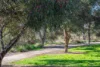 10 Wycombe Drive, Mount Barker, SA 5251-Image