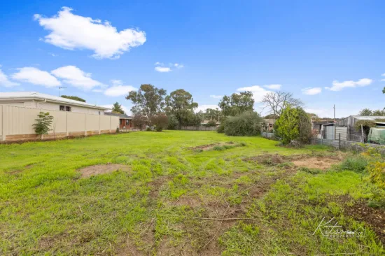 100 Allonby Avenue, Forest Hill, NSW 2651-Image