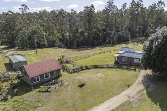 100 Banks Road, Derby, Tas 7264