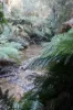 100 Banks Road, Derby, Tas 7264-Image