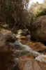 100 Banks Road, Derby, Tas 7264-Image