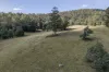 100 Banks Road, Derby, Tas 7264-Image