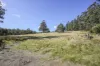100 Banks Road, Derby, Tas 7264-Image
