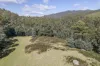 100 Banks Road, Derby, Tas 7264-Image