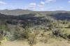 100 Banks Road, Derby, Tas 7264-Image