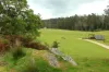 100 Banks Road, Derby, Tas 7264-Image