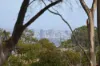 100 Churchett Road, Paracombe, SA 5132-Image