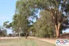 100 Henderson Street, Parkes, NSW 2870