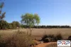 100 Henderson Street, Parkes, NSW 2870-Image