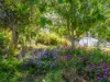 100 Jacksons Road, Franklin, Tas 7113-Image