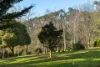 100 Kirk Road, Cockatoo, Vic 3781-Image