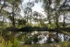 100 Kirk Road, Cockatoo, Vic 3781-Image