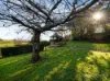 100 Mooreville Road, Shorewell Park, Tas 7320-Image