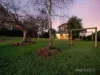 100 Mooreville Road, Shorewell Park, Tas 7320-Image