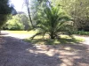 100 Station Road, Gembrook, Vic 3783-Image