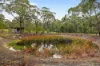 100 Tilligs Road, Scarsdale, Vic 3351-Image