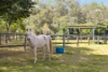 100 Waverley Road, Lake Manchester, Qld 4306-Image