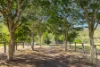 100 Waverley Road, Lake Manchester, Qld 4306-Image