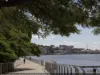 1001/20 Festival Place, Newstead, Qld 4006-Image
