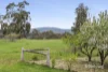 1004 Daylesford Malmsbury Road, Glenlyon, Vic 3461-Image