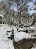 1005 Yaouk Road, Yaouk, NSW 2629-Image