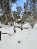 1005 Yaouk Road, Yaouk, NSW 2629-Image