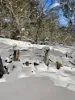 1005 Yaouk Road, Yaouk, NSW 2629-Image