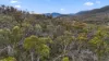 1005 Yaouk Road, Yaouk, NSW 2629-Image