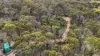 1005 Yaouk Road, Yaouk, NSW 2629-Image