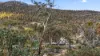 1005 Yaouk Road, Yaouk, NSW 2629-Image