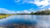 101 Boambee Street, Harrington, NSW 2427-Image