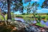 101 Davenport Drive, Coonarr, Qld 4670-Image