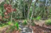 101 Davenport Drive, Coonarr, Qld 4670-Image