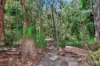 101 Davenport Drive, Coonarr, Qld 4670-Image