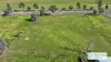 101 Deeks Road, Werris Creek, NSW 2341-Image