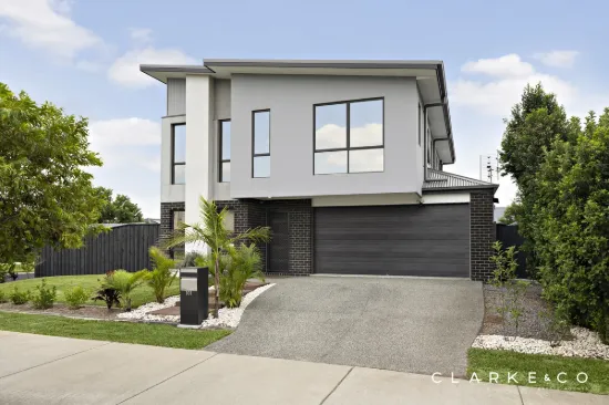 101 Dragonfly Drive, Chisholm, NSW 2322