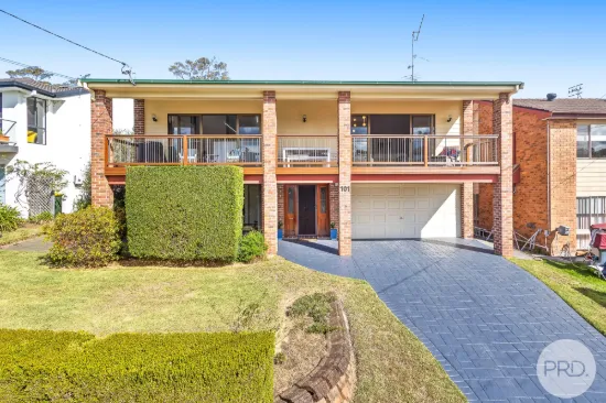 101 Francis Avenue, Lemon Tree Passage, NSW 2319